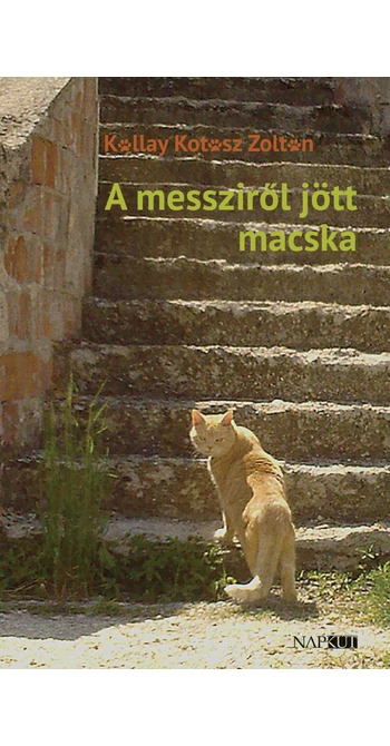 Kállay Kotász Zoltán: A messziről jött macska