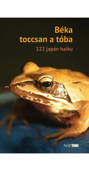 Béka toccsan a tóba