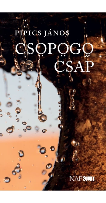 Pipics János: Csöpögő csap