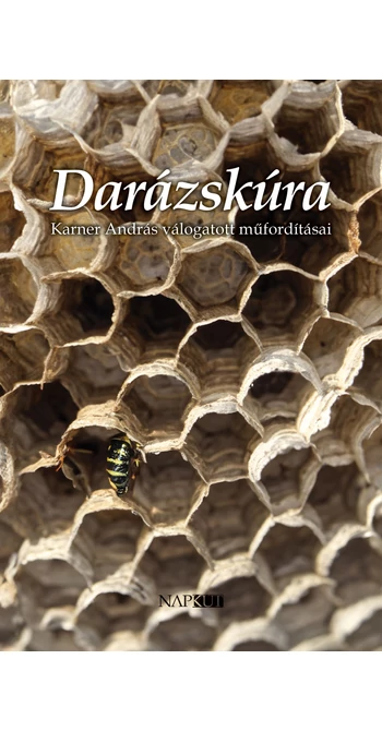 Darázskúra