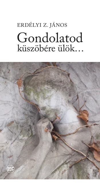 Erdélyi Z. János: Gondolatod küszöbére ülök...