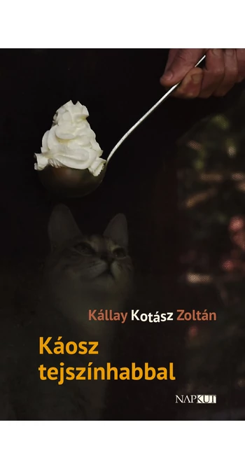 Kállay Kotász Zoltán: Káosz tejszínhabbal