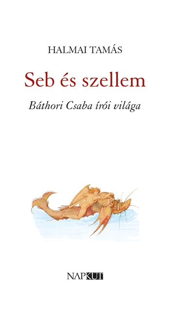 Halmai Tamás: Seb és szellem