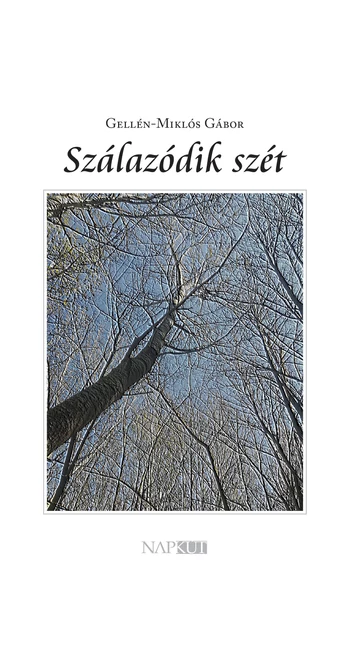 Gellén-Miklós Gábor: Szálazódik szét