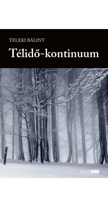 Teleki Bálint: Télidő-kontinuum