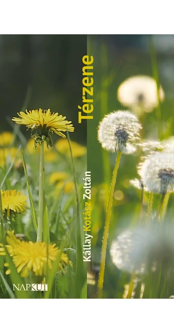 Kállay Kotász Zoltán: Térzene