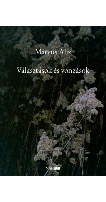 Mátyus Aliz: Választások és vonzások