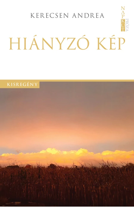 Kerecsen Andrea: Hiányzó kép