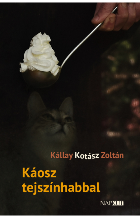 Kállay Kotász Zoltán: Káosz tejszínhabbal