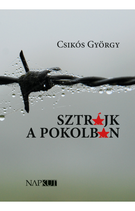 Csikós György: Sztrájk a pokolban
